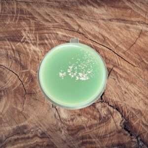 Aventos Shot Pot Wax Melt