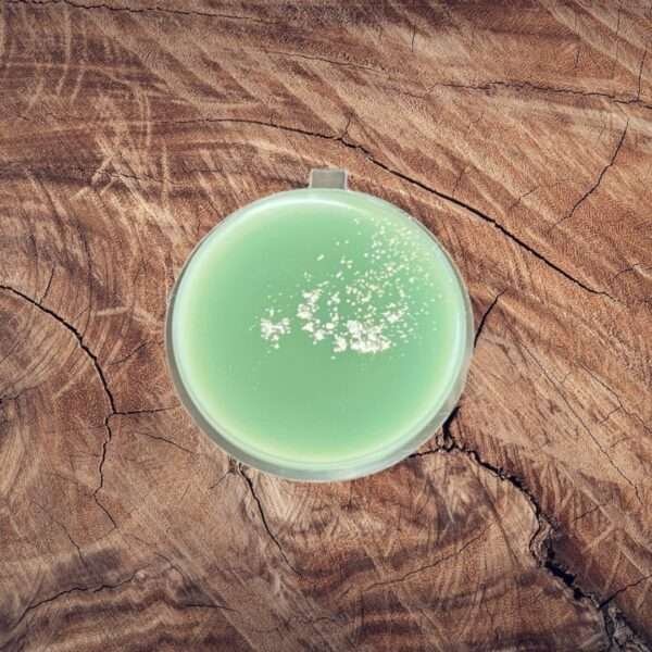 Aventos Shot Pot Wax Melt