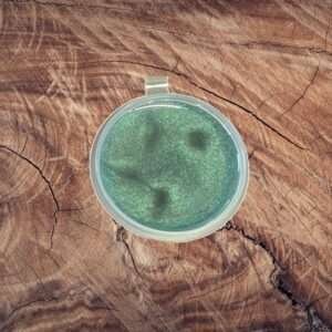 Beach Life Shot Pot Wax Melt
