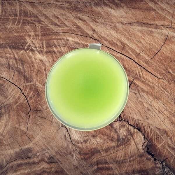 Homme Shot Pot Wax Melt