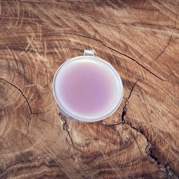 Purple Rain Shot Pot Wax Melt