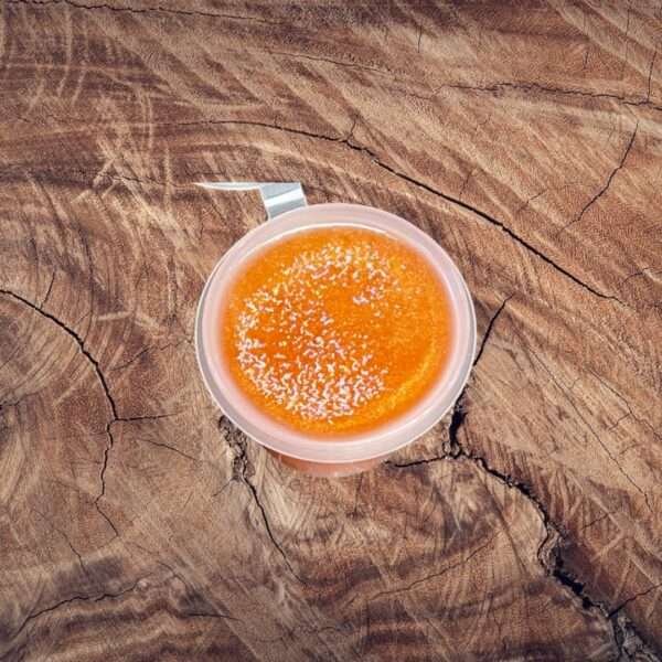 Raspberry Fizz Shot Pot Wax Melt