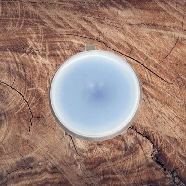 Savage Shot Pot Wax Melt
