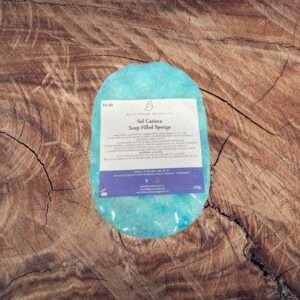 Sol Carioca Exfoliating Soap Sponge