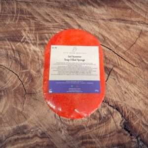 Sol Summer Normal Soap Filled Sponge